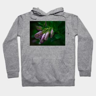 Purple broom Hoodie